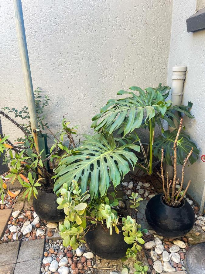 Serenity in the City - B&B