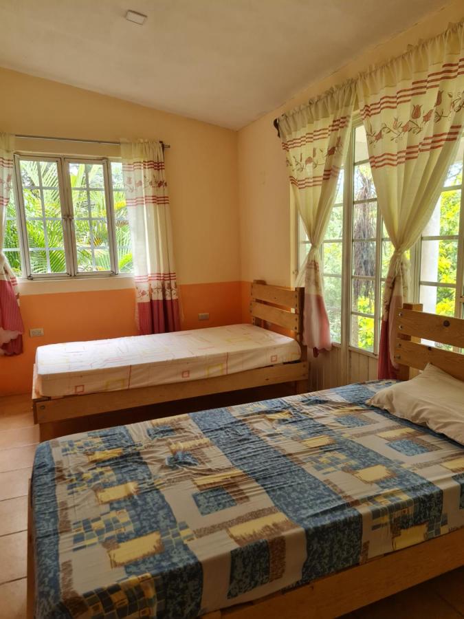 Bett im gemischten Schlafsaal mit 10 Betten