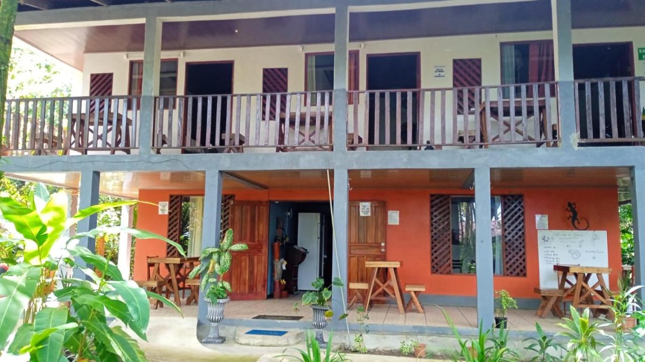 Gecko de Tortuguero - Chambres d’hôtes