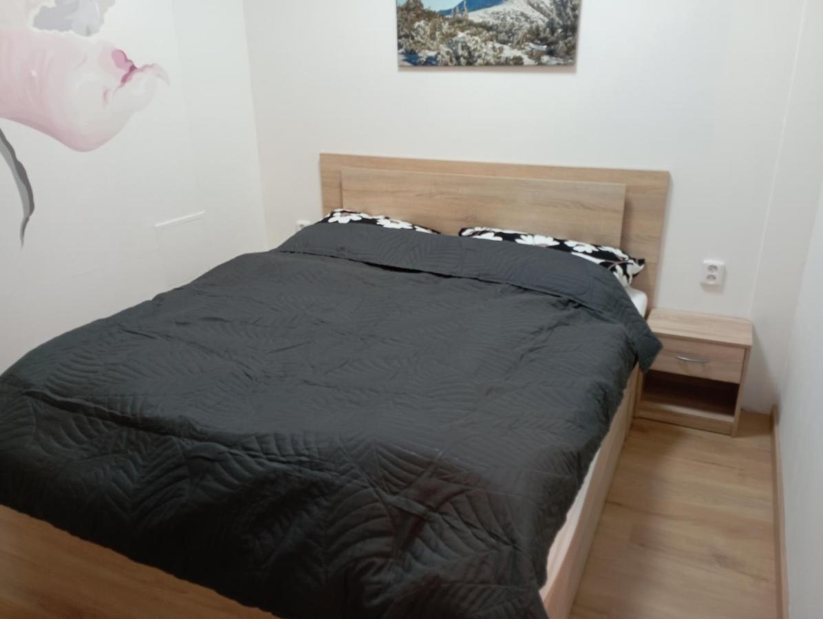 Soukromý apartmán Deluxe - Ferienwohnung