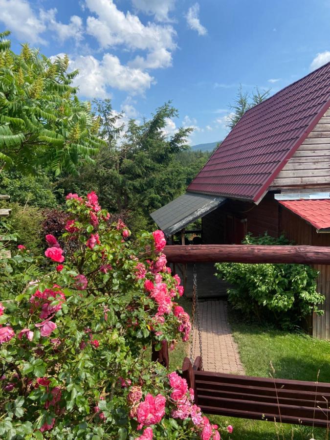 Agroturystyka Nad Stawem - B&B