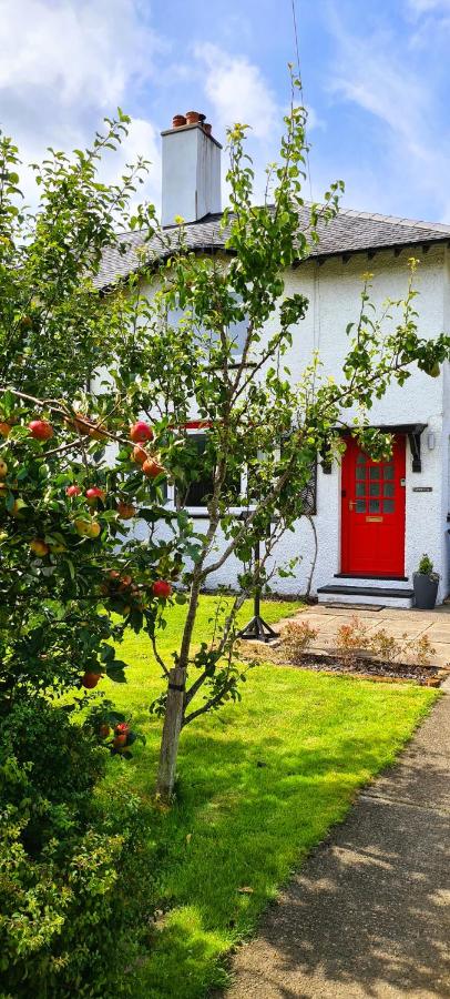 Awelfa a peaceful cottage in the Cambrian mountains - B&B