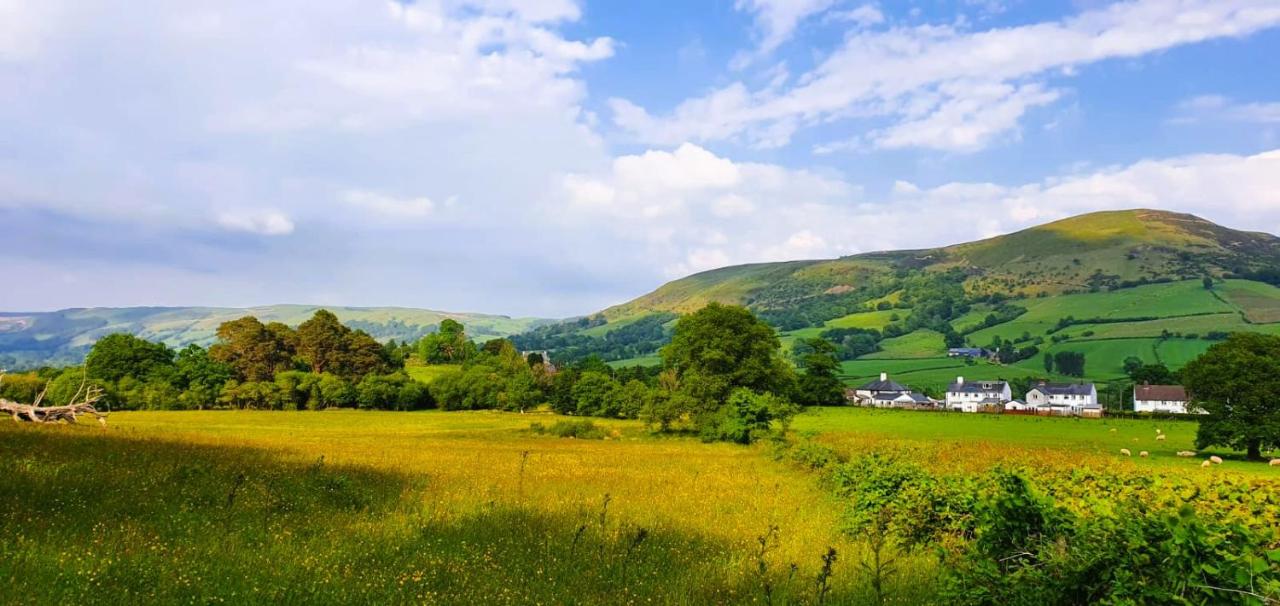 Awelfa a peaceful cottage in the Cambrian mountains - Chambres d’hôtes Llanbrynmair