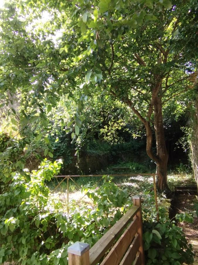 Duplex en centre-ville - B&B