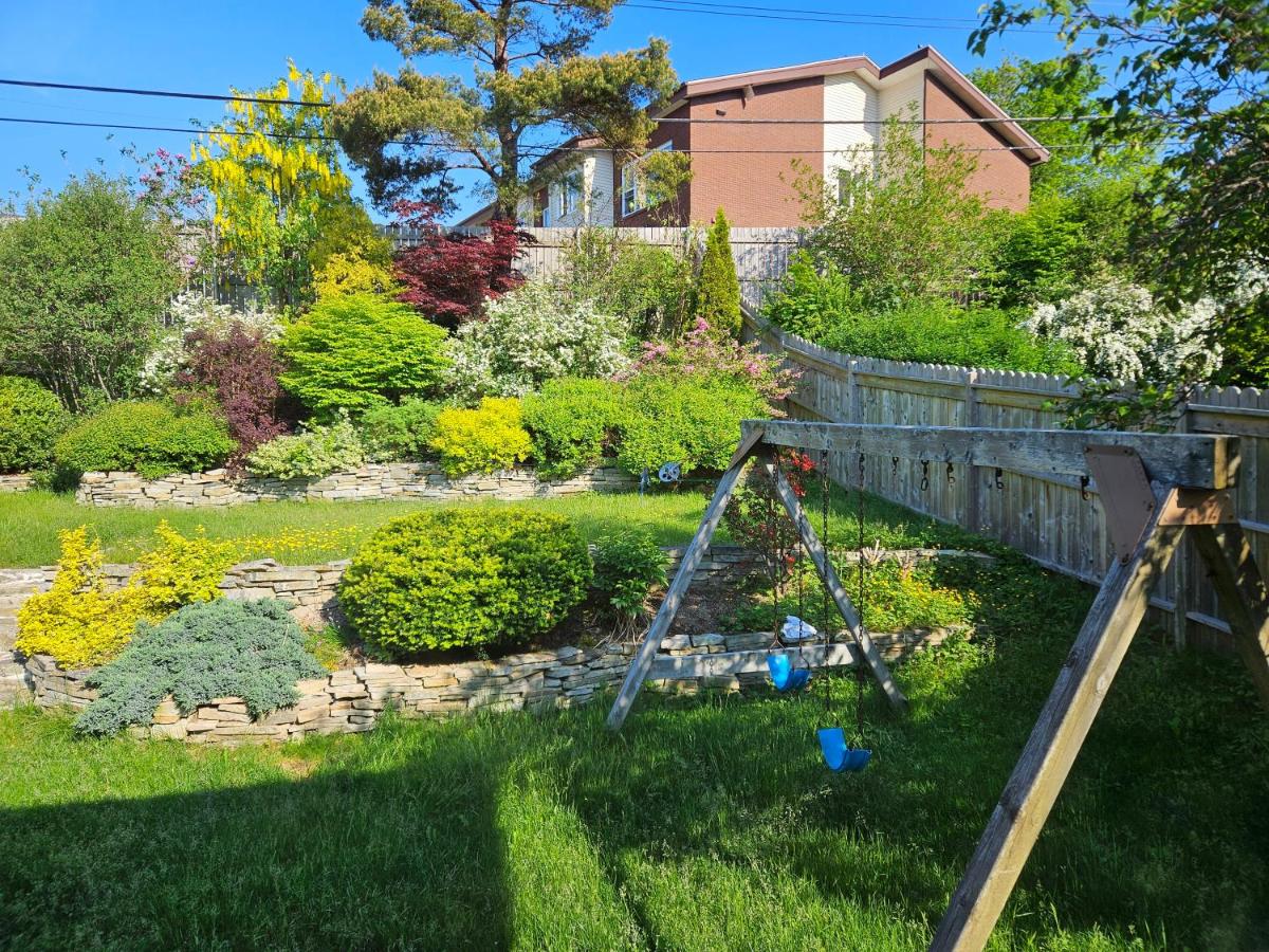 Cosy Apartment, Top Garden, Prime Location - B&B St. John's