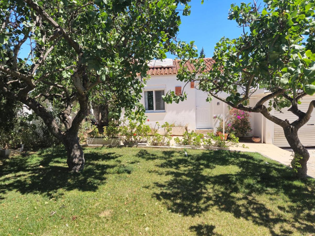 Top hill Gardens- Jacuzzi-7m from Airport - B&B