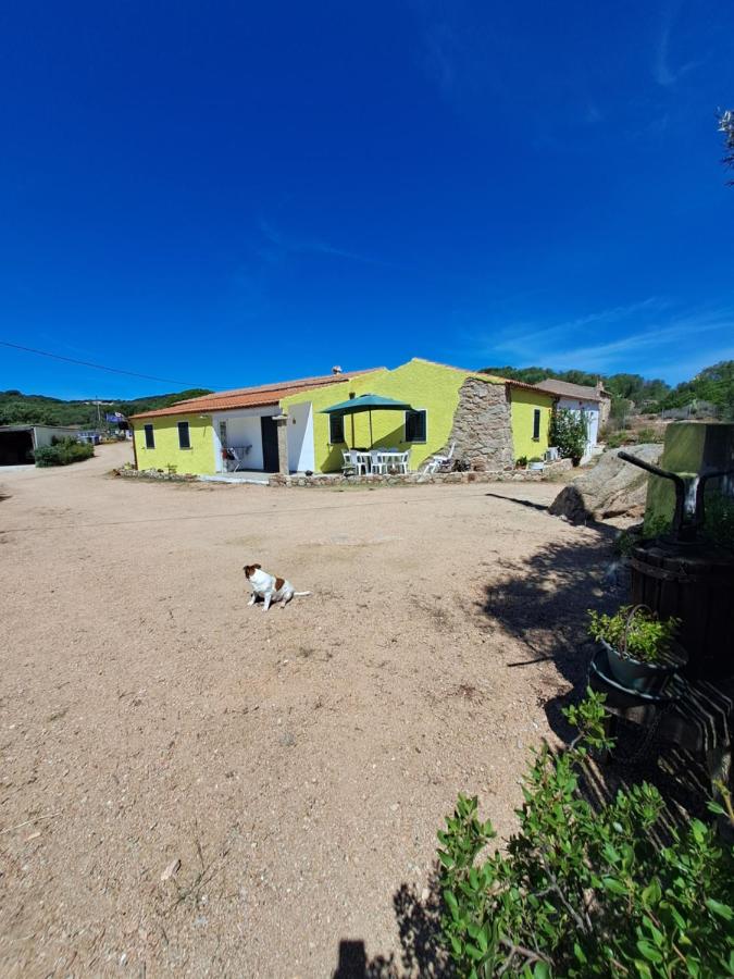Appartement - Rez-de-Chaussée
