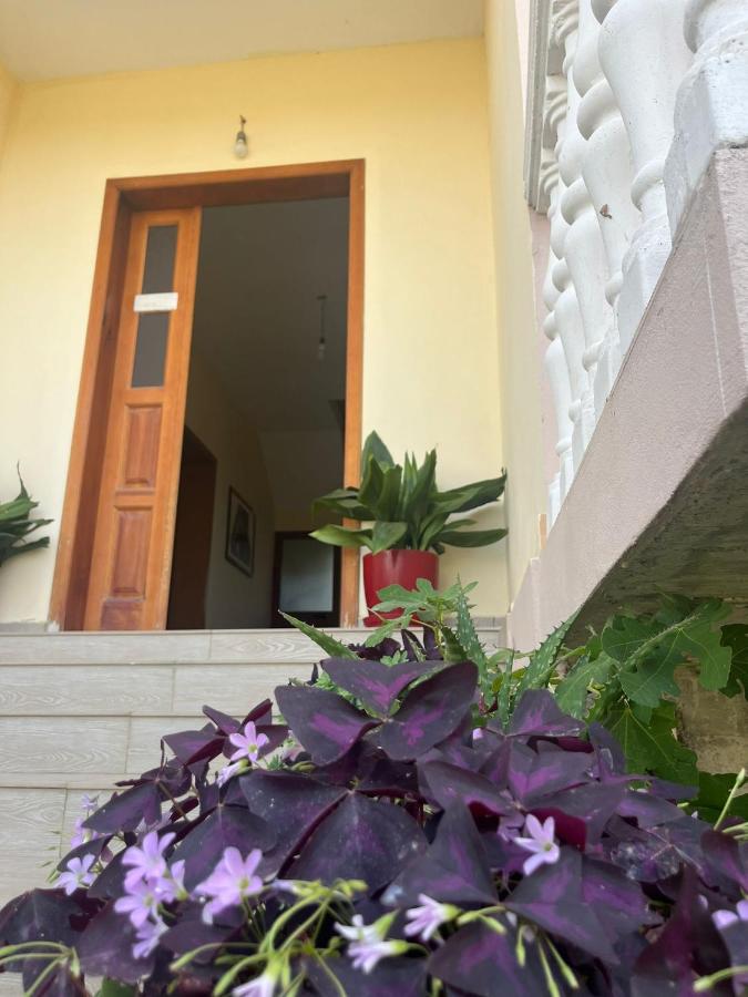 Residence Domus Aurea - B&B Velipojë