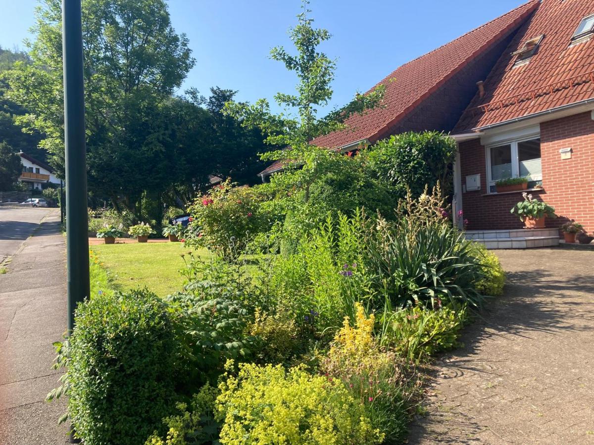 Ferienwohnung Waldhöhe direkt am Nationalpark - Ladestation für E-Auto - sonniger Balkon mit Bergblick - B&B