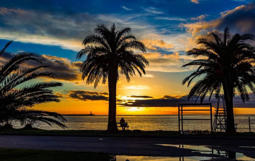 Rustic house - B&B Antivari