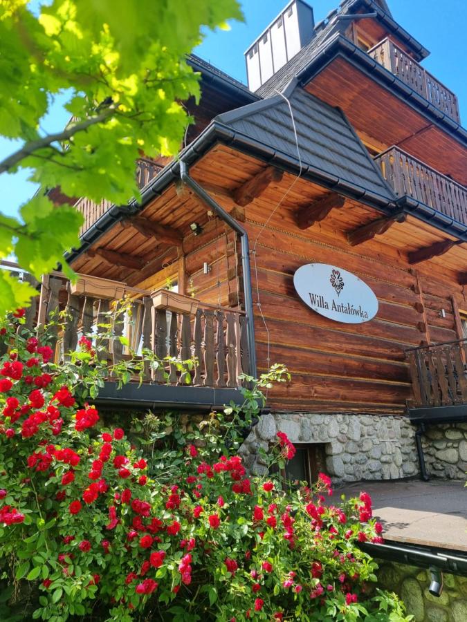 Willa Antałówka Apartamenty - B&B