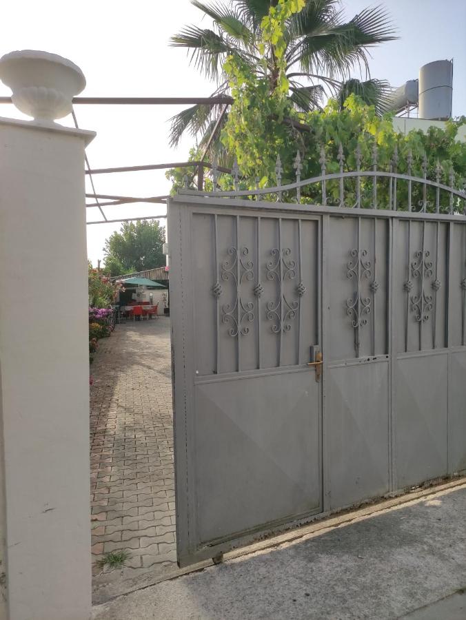 Ilirida-Swimming pool & garden view rooms for rent - B&B