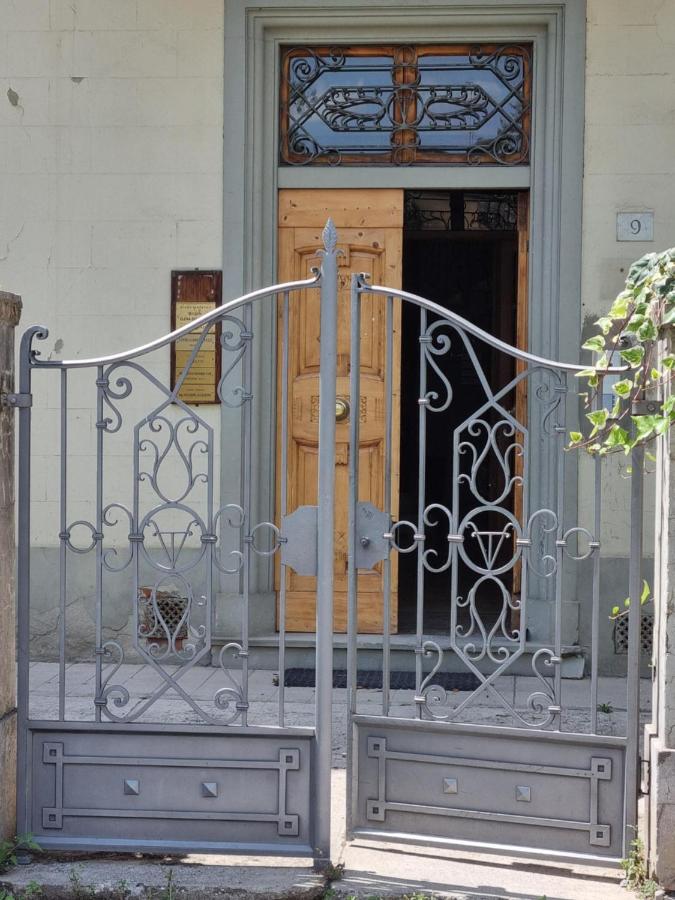 viola - B&B