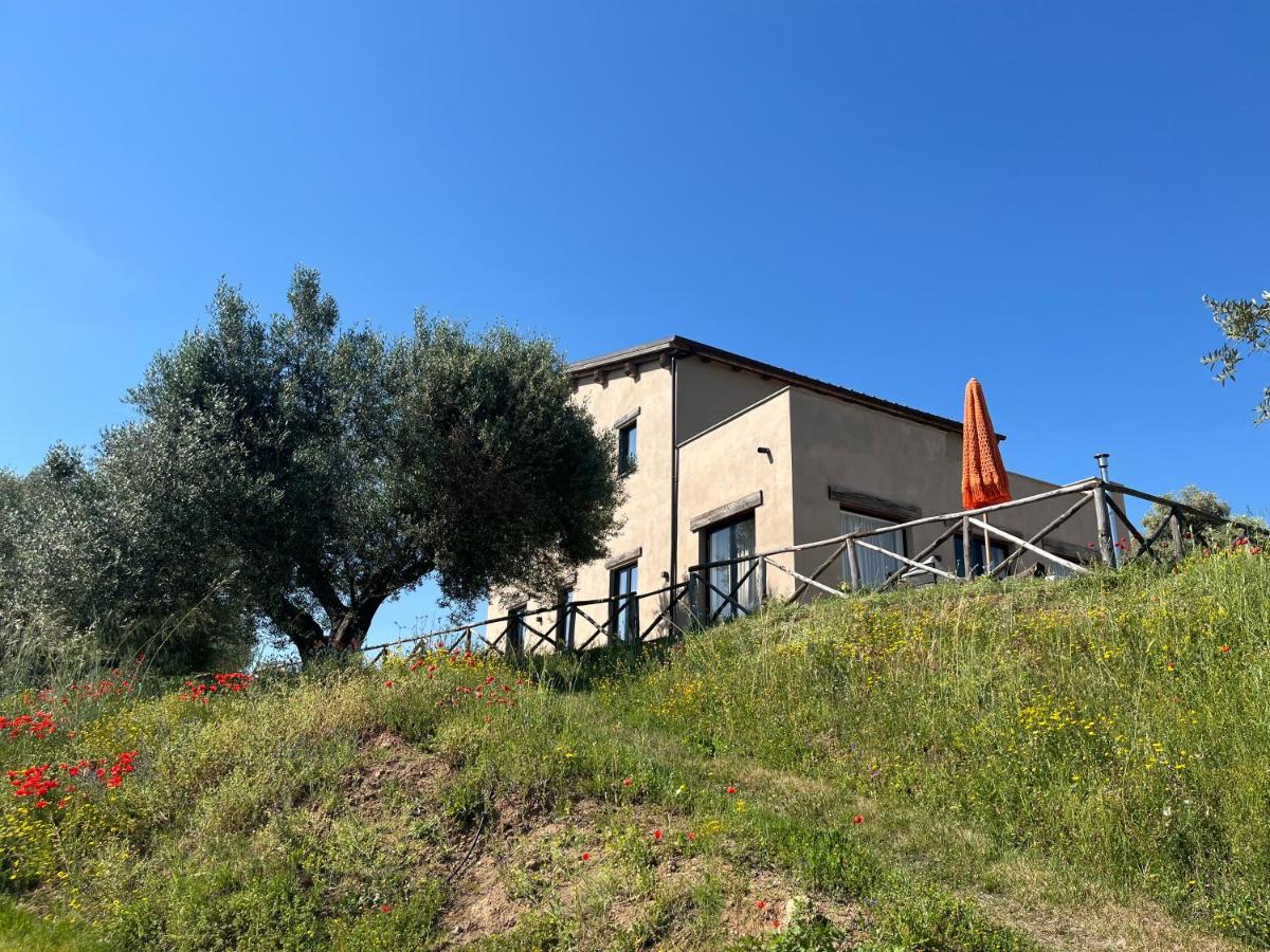 Fattoria Iluigi - B&B