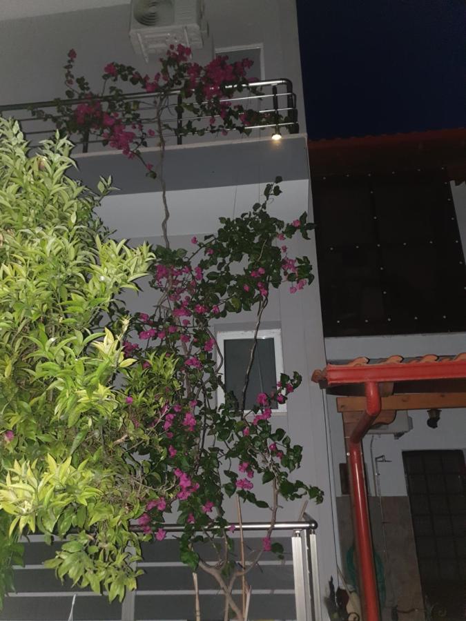 Το σπιτι της Μπρουνας - B&B