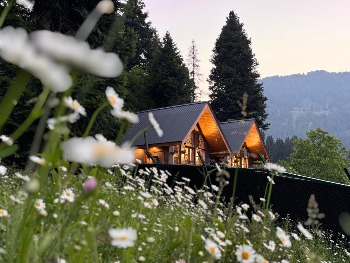 Solomons Gray - B&B