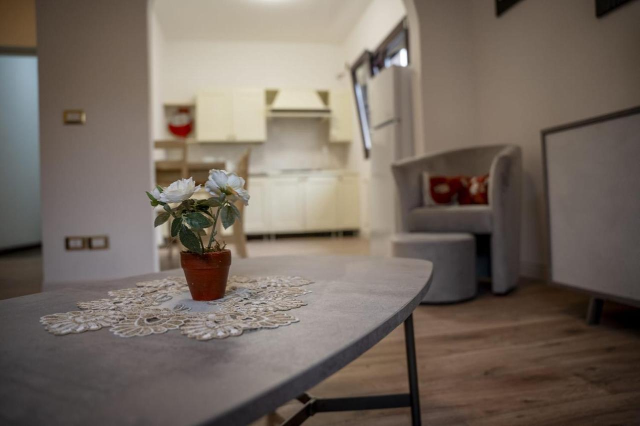 Classic Apartment