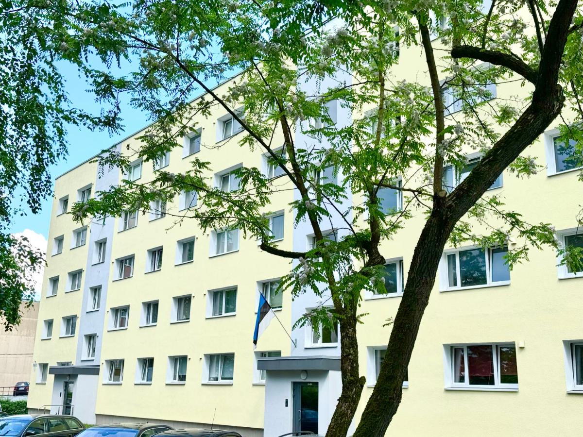 Aardla Cozy Apartment - Ferienwohnung