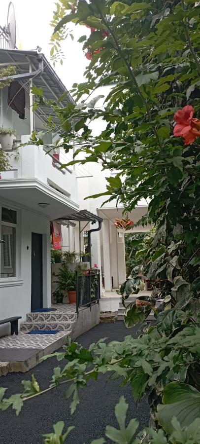 Studio with Terrace