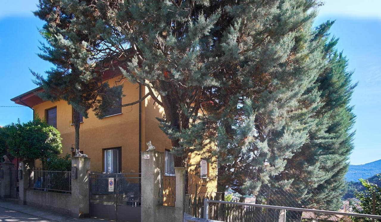 Casa Amelia - B&B Cissano