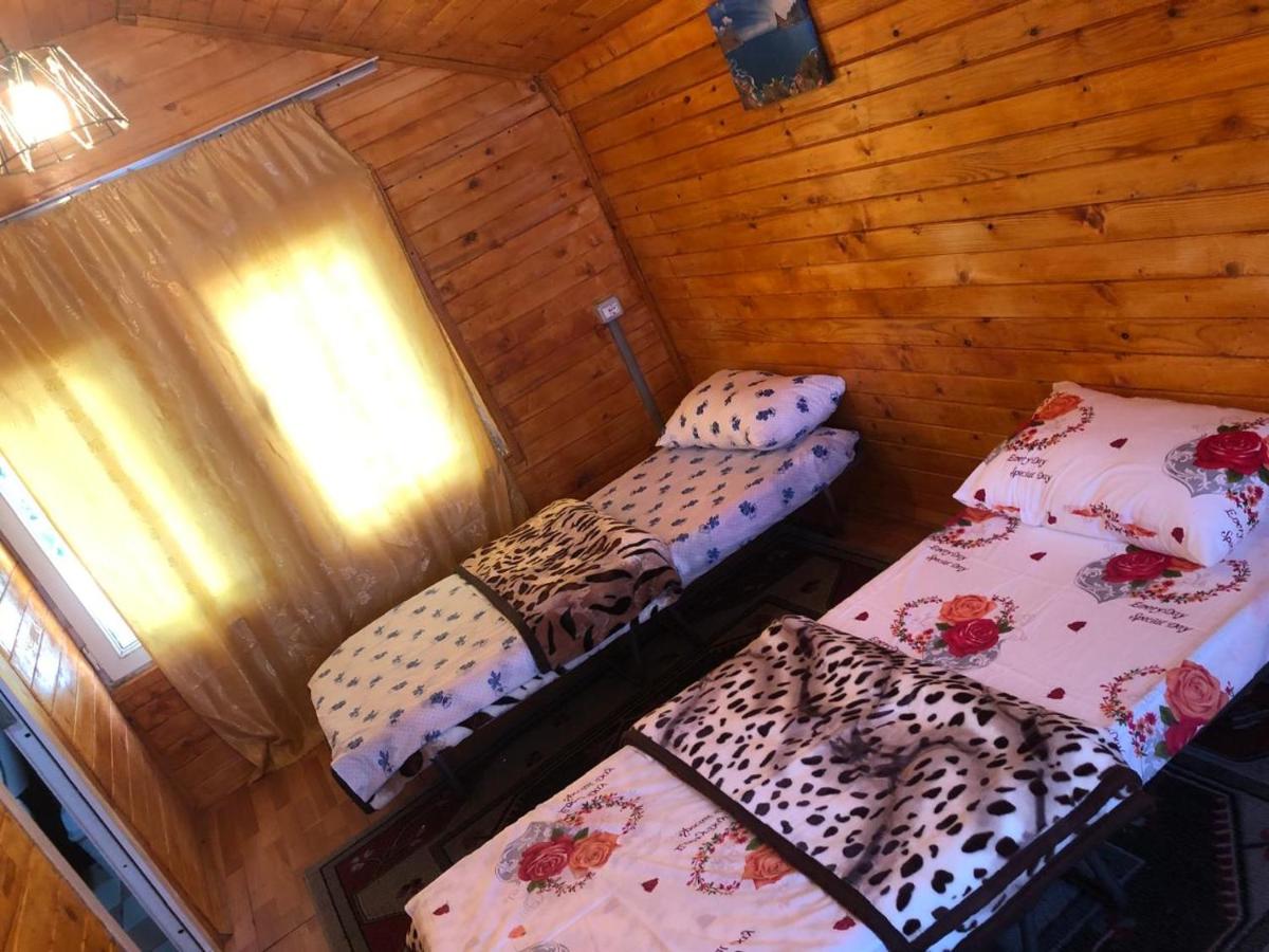 Bujtina Gashi Guest House - B&B