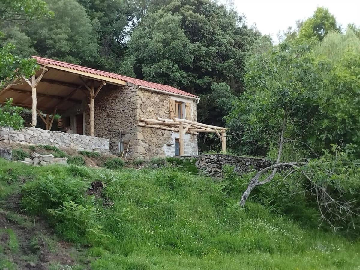 Domaine l Alba Scelta - B&B