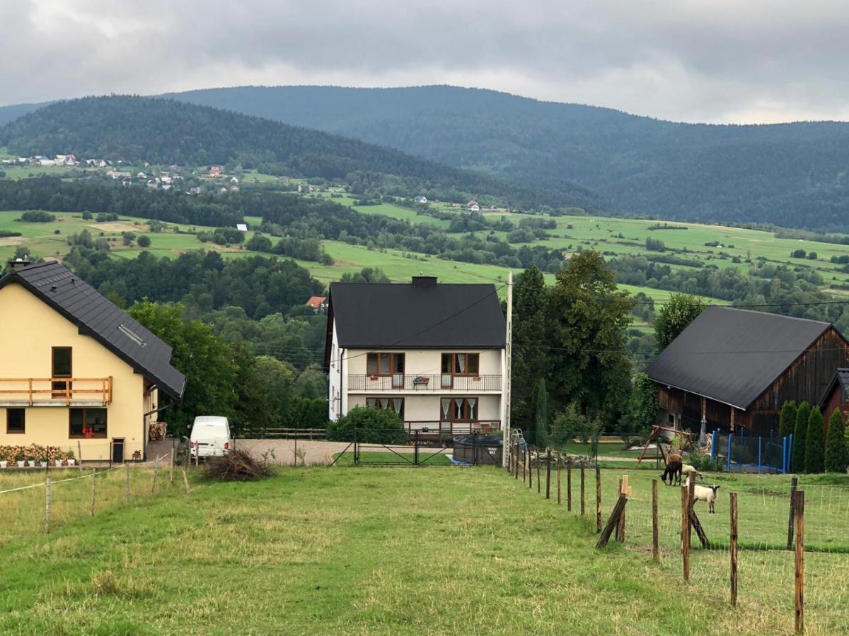 Agroturystyka Zagroda Miłkowskie - B&B