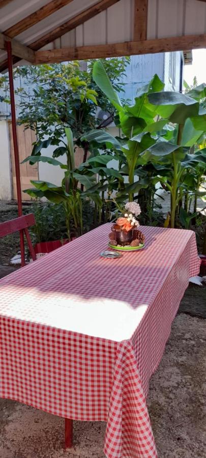 Mano's Guest House - B&B