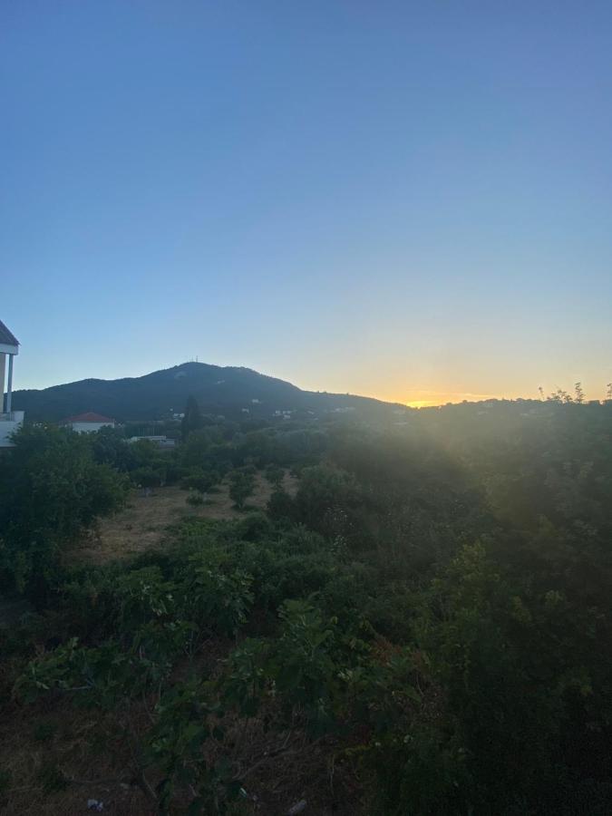 Camera Matrimoniale/Doppia con Letti Singoli con Vista Montagna