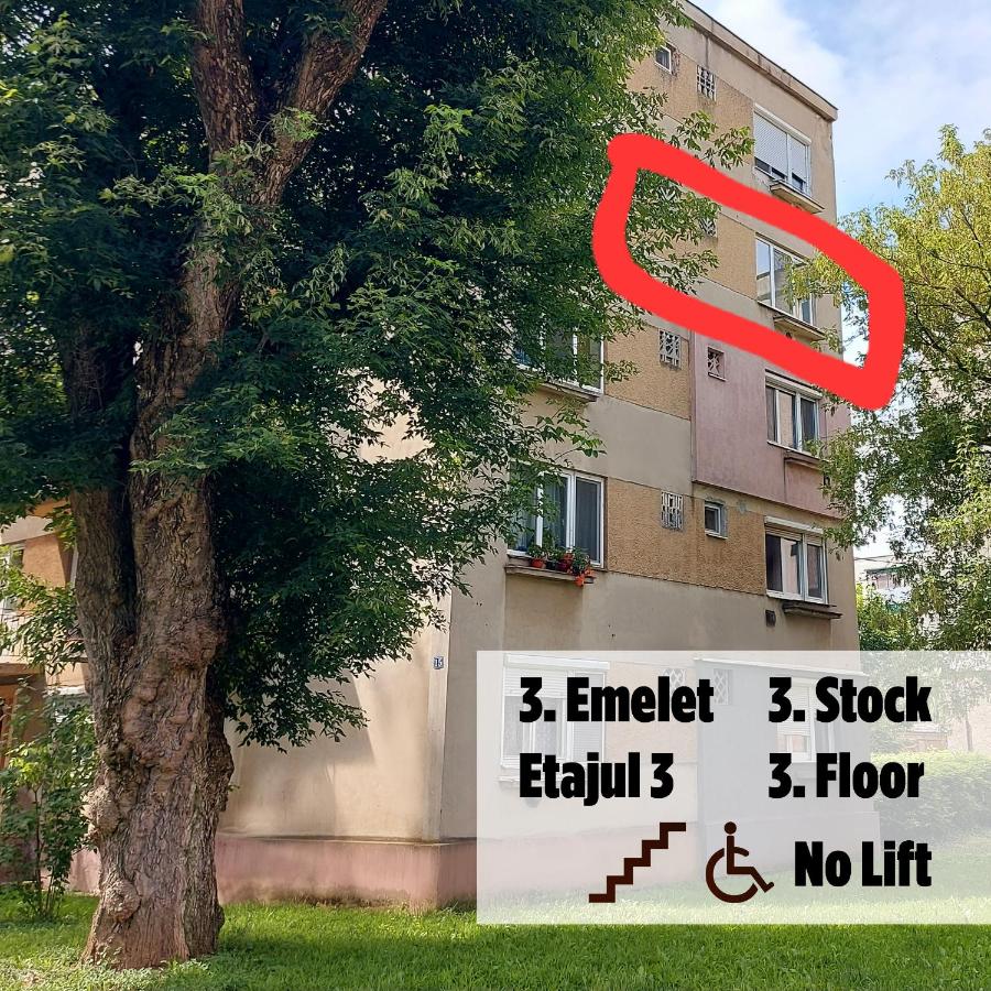 Apartment next to castle park - Ferienwohnung