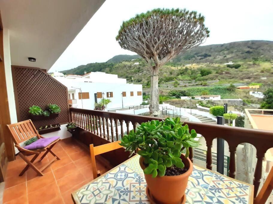 Apartamento Drago Chico - Bed and Breakfast