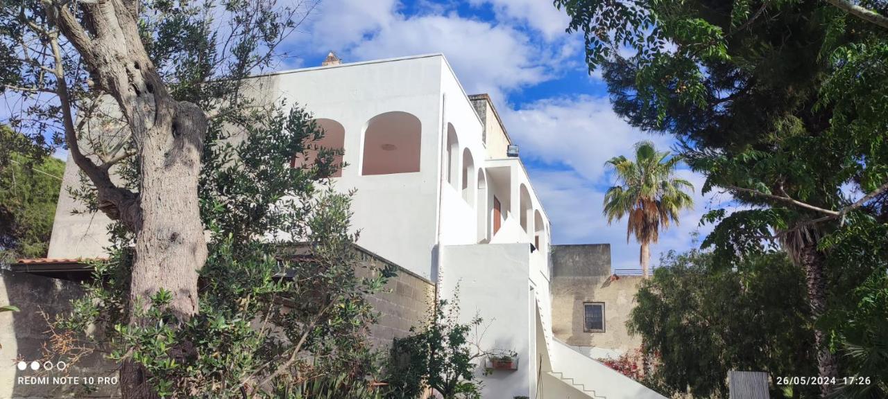 La Sarparea, Masseria - B&B Sant'Isidoro