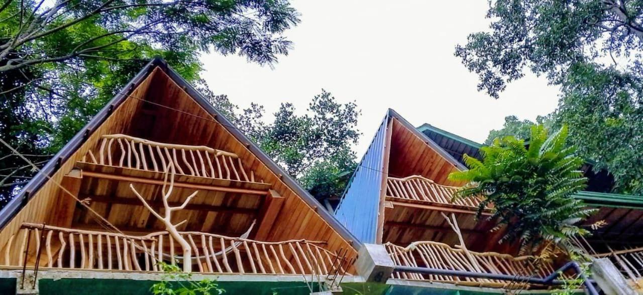 Ella Treehouse - B&B