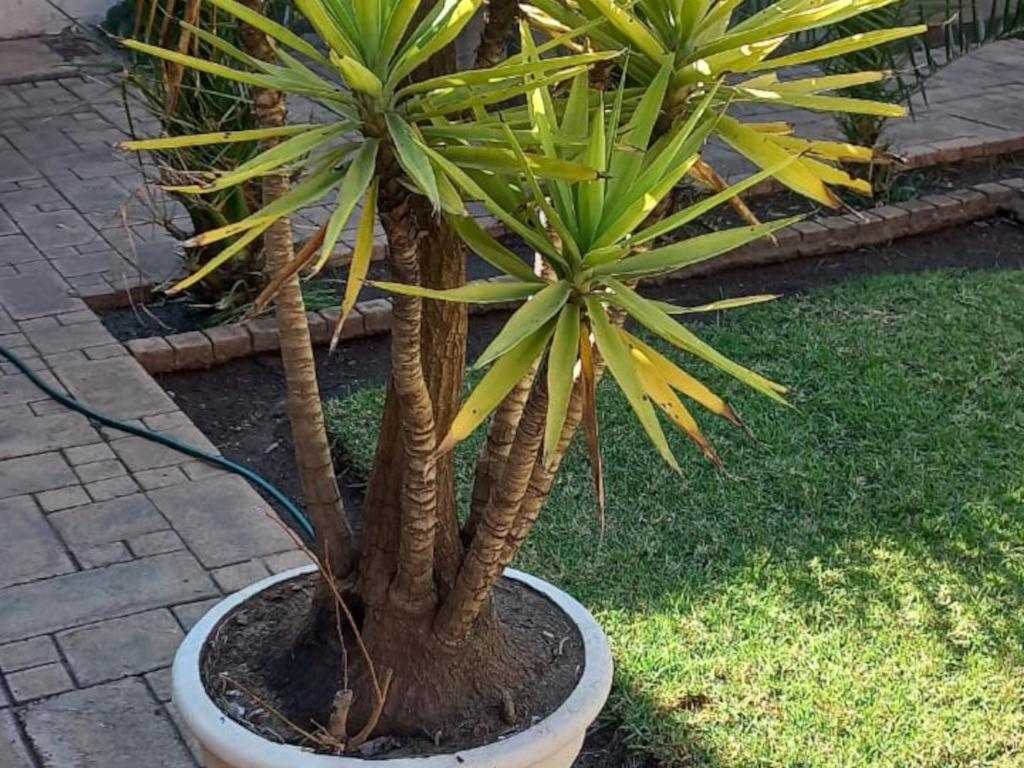 De Oude Hof Lodge - Bed and Breakfast Delmas