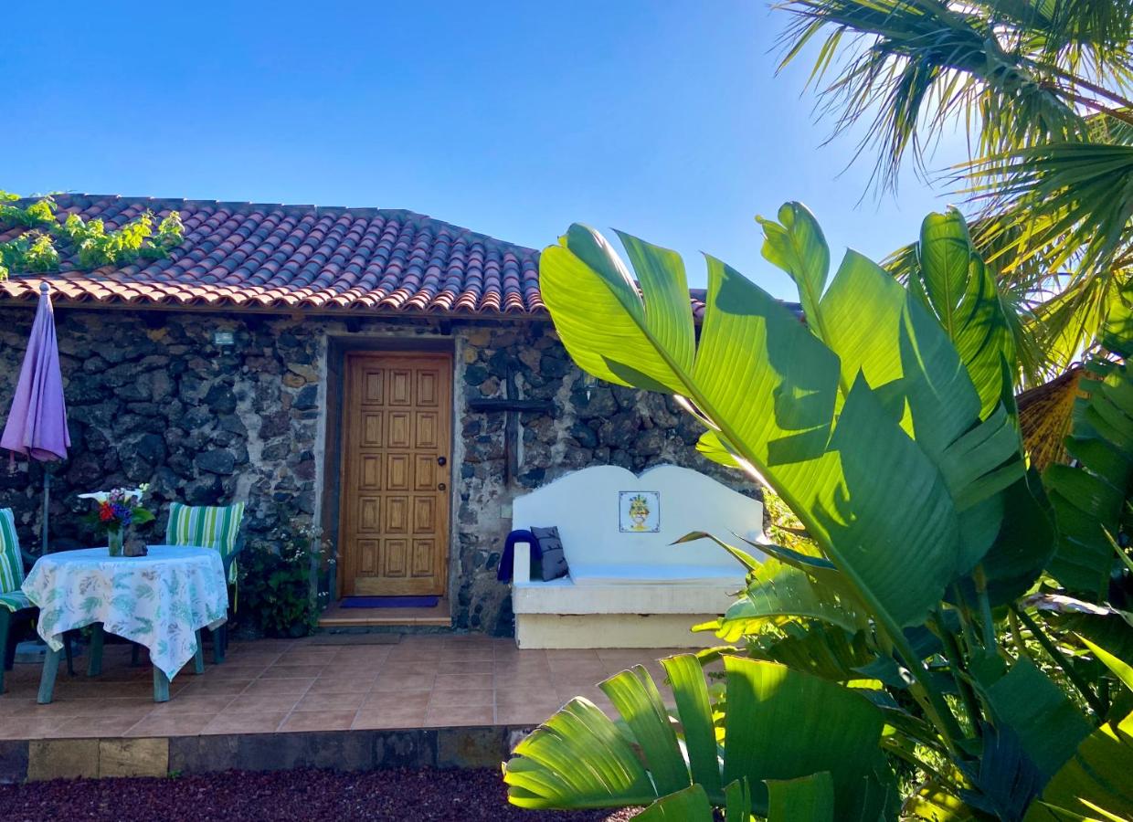 Finca Tenerife - Traumblick, tropischer Garten, viel Platz & Ruhe - B&B