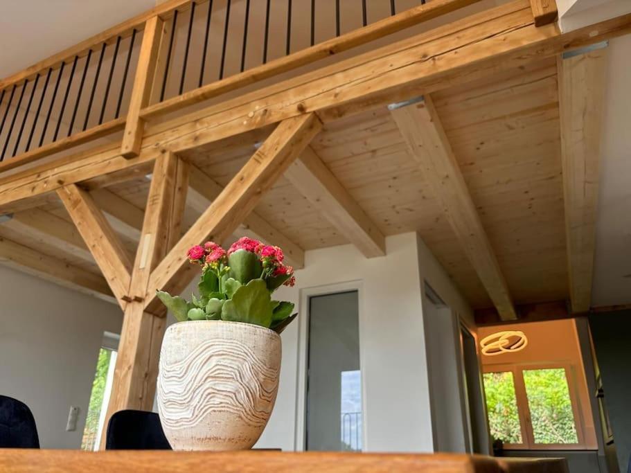 Zur Donauinsel - Bed and Breakfast