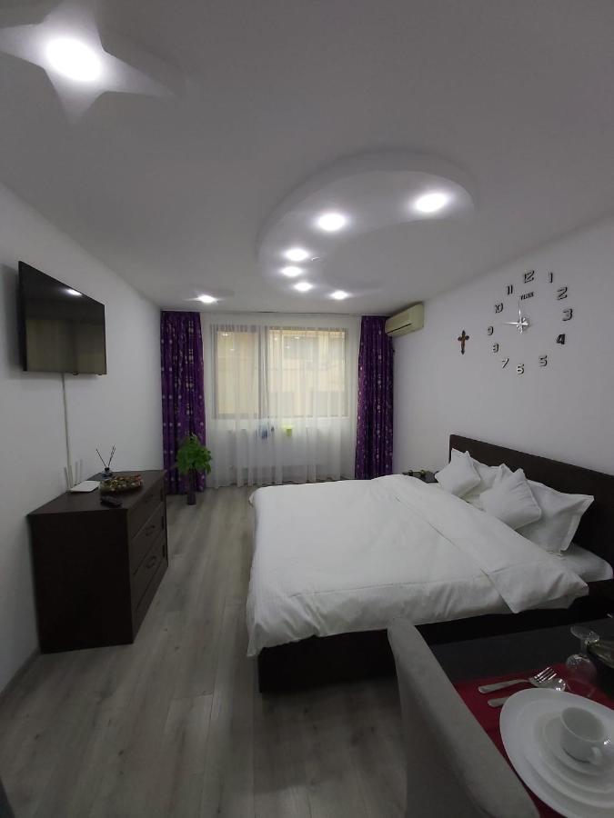 Garsoniera tiglina1 - Ferienwohnung