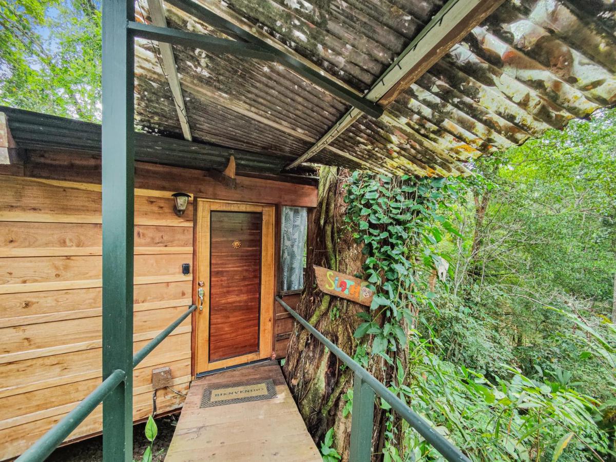 Sloth Romantic Treehouse with plunge pool - Ferienwohnung