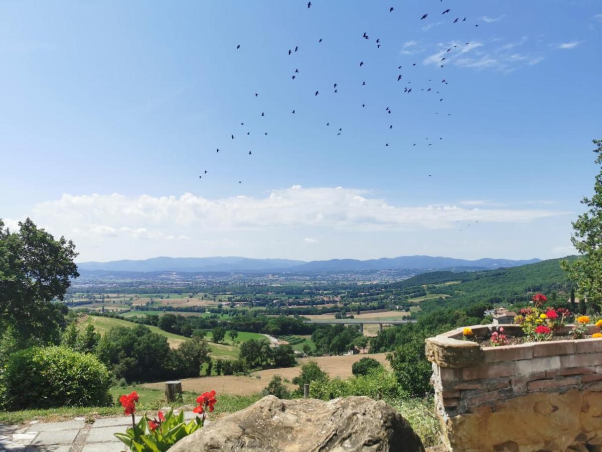Al Podere del Nonno Romolo - B&B