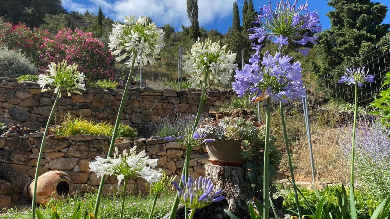 Apartamentos Casa Lola rodeados de montañas y rios - B&B