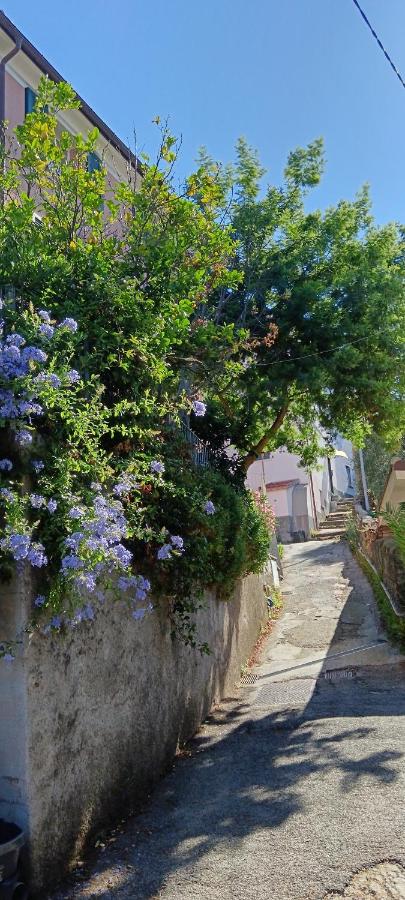 Pet Friendly Il Mare a Un Passo Da Casa SAMY Appartamento Intero 6 Posti Letto 60 Mt