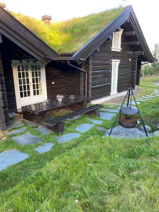 Cozy family cabin with stunning location on Golsfjellet - B&B Golsfjellet