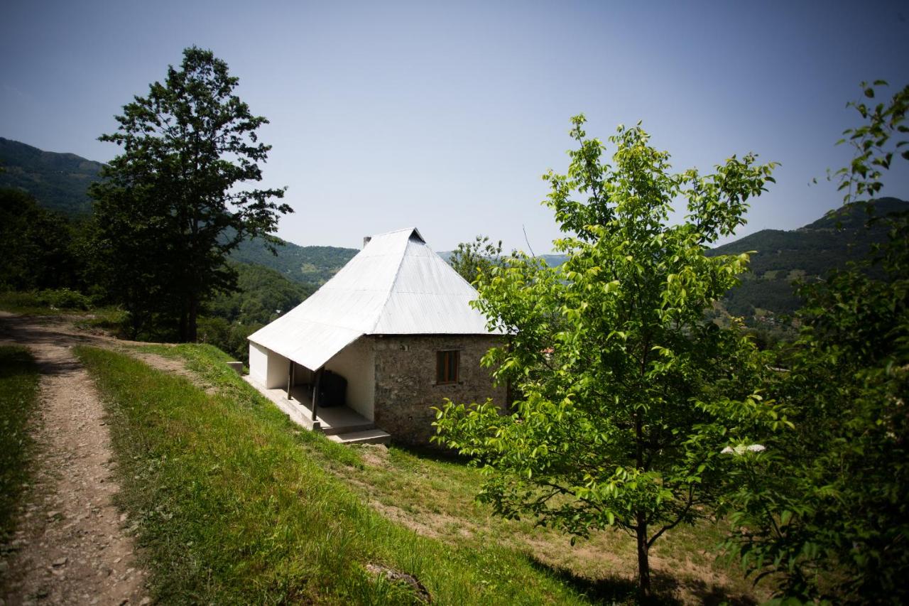 Ethno guesthouse Tara - B&B