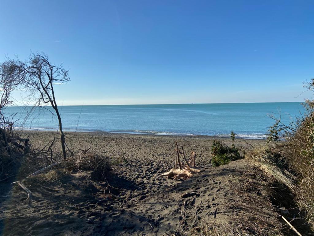 Casa tra Mare e campagna in Toscana - B&B
