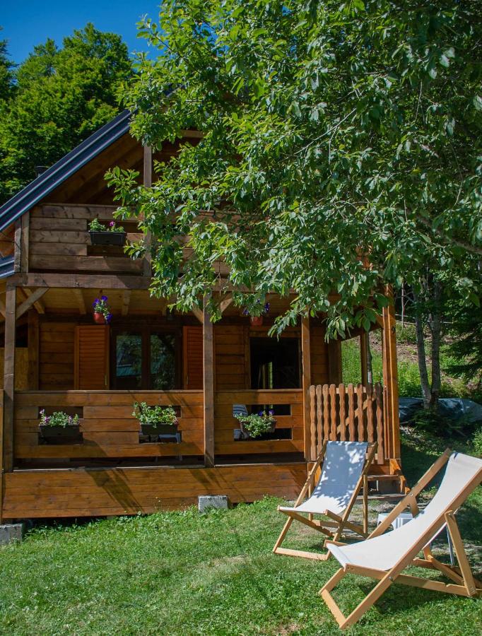 Chalet 1 Chambre