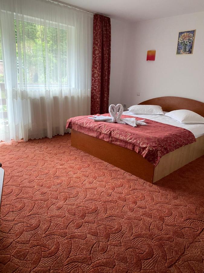 Pensiunea Denisa Preda - B&B Cheia