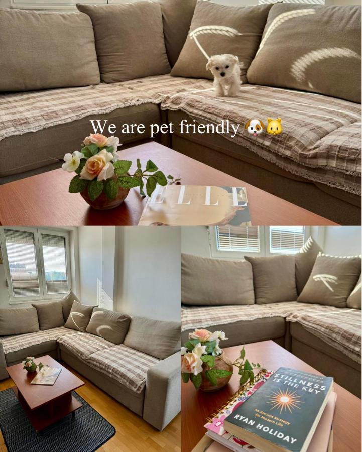 Djaba Apartments - B&B Ocrida