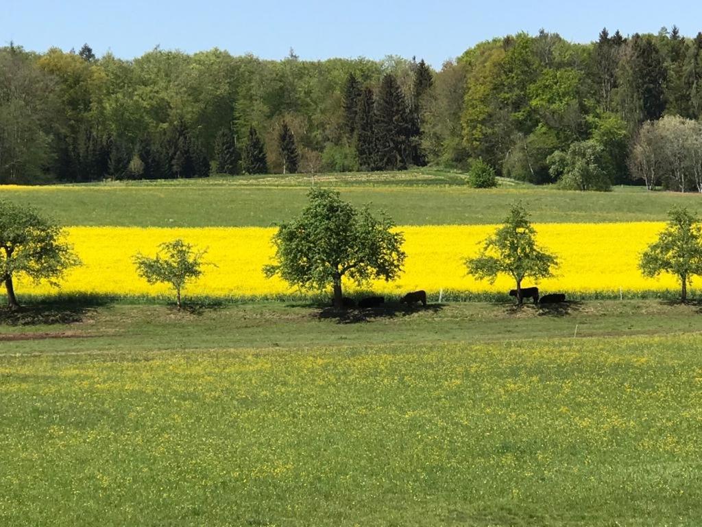 Oberdorf - B&B