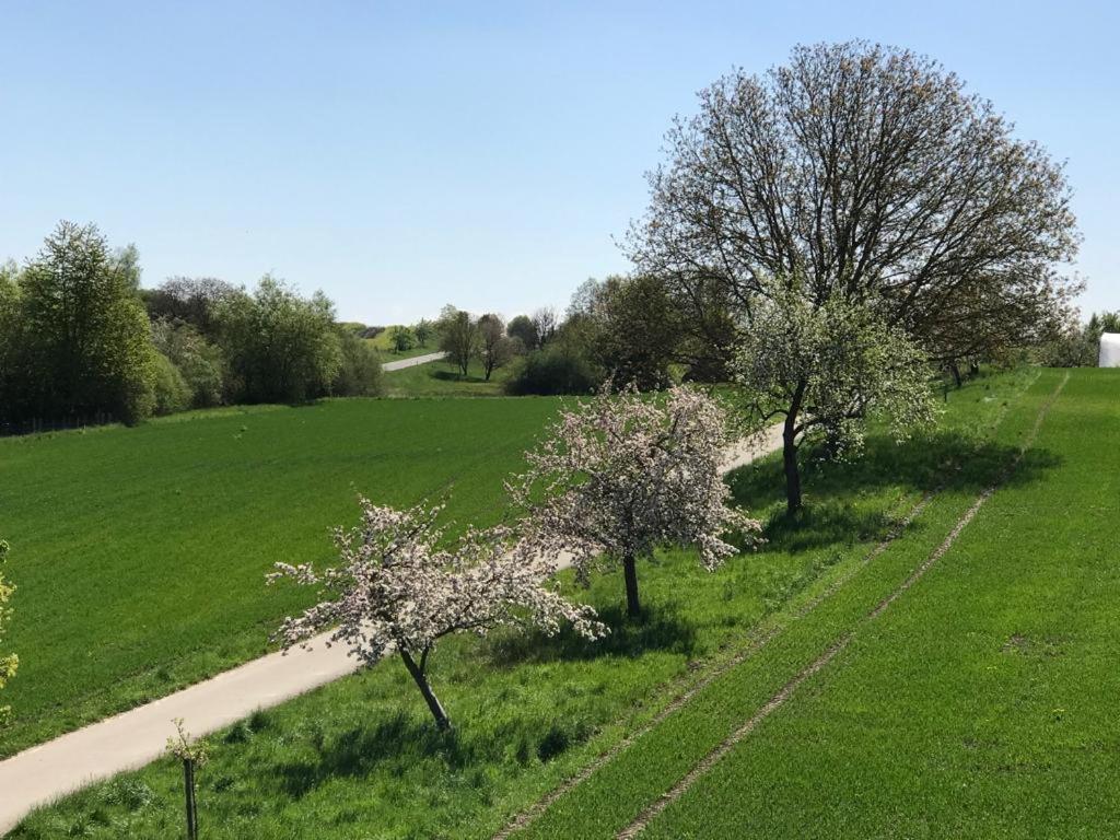 Oberdorf - Ferienwohnung Konstanz