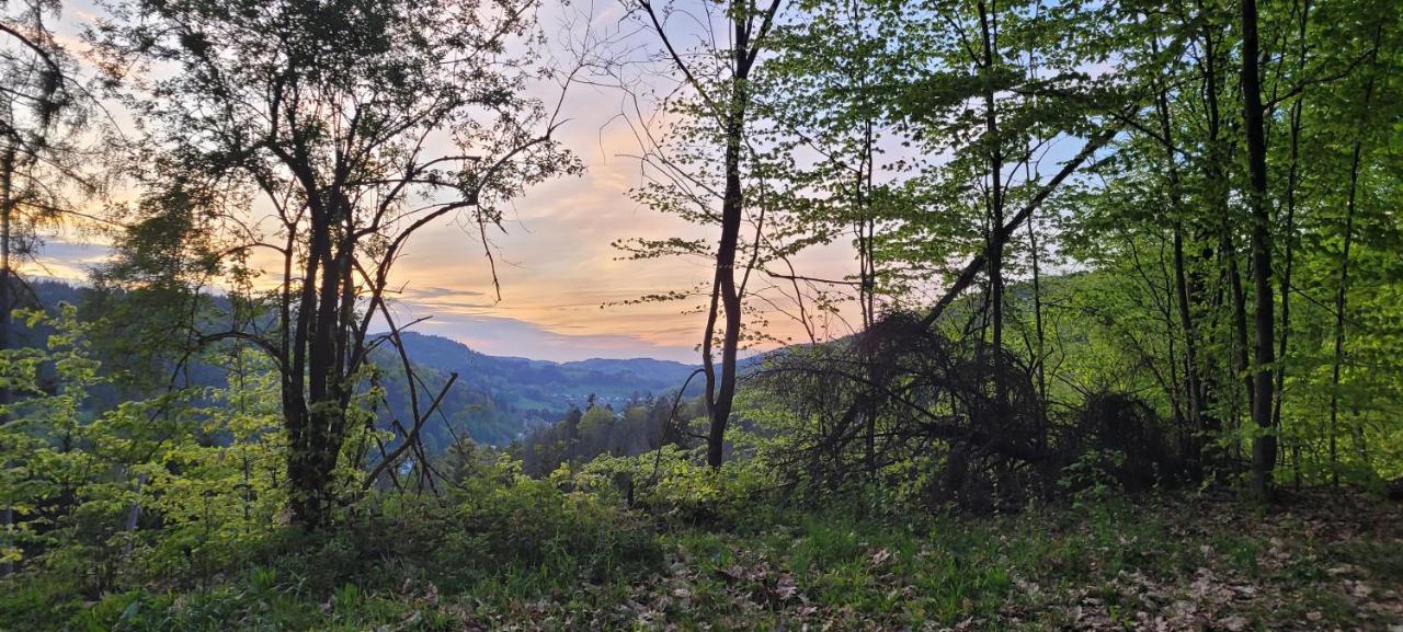 FeWo in Heddesbach - B&B Heddesbach